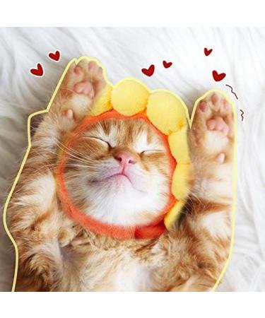 Weewooday 5 Pieces Cat Hat Cat Costume Bunny Hat with Ears Funny Banana Pineapple Cat Hat for Cats and Small Dogs Kitten Puppy Party Costume Accessory Headwear(Cute Style) - Buy Online on SooperMarket.com