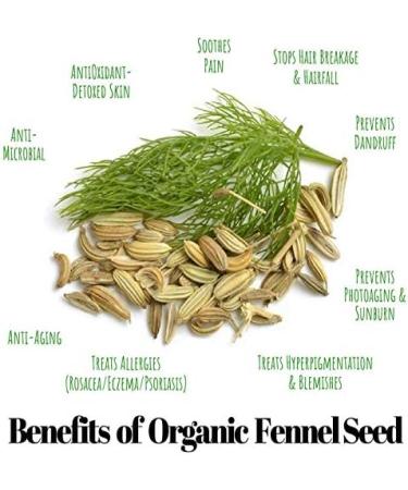 nalAmudhu Premium Fennel Seeds | Foeniculum Vulgare | Sounf | Sombu-200g - Buy Online on SooperMarket.com