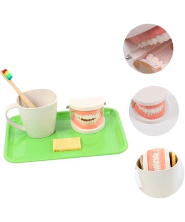Buy Beavorty Learning Toothbrush Toys for Early Teething | Pedagogical Tooth Cleaning Model for Preschool - Buy Online on SooperMarket.com