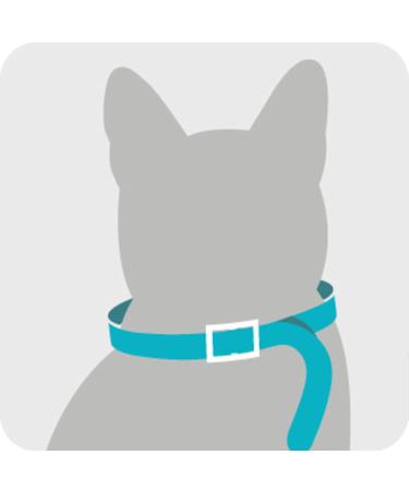 Sergeant's Guardian Pro Flea & Tick Cat Collar - 1 Count - Buy Online on SooperMarket.com