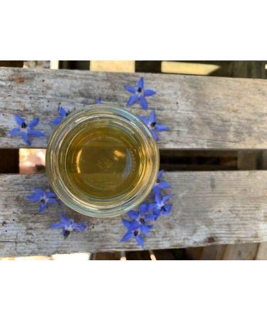 British Borage Honey - Pure and Natural British Honey / UK Honey (227g Glass jar)