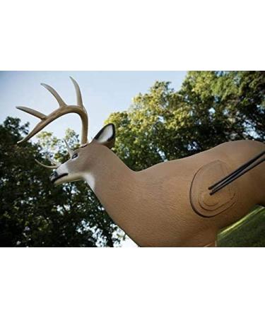 Big Shooter Buck 3D Archery Target with Replaceable Insert Core - Replacement Insert Included - Buy Online on SooperMarket.com