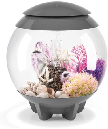Biorb 46092 Horn Coral S - Pink | Natural Plastic Aquaria Decoration for Fresh & Sea Water | Easy Clean Small Coral - Buy Online on SooperMarket.com
