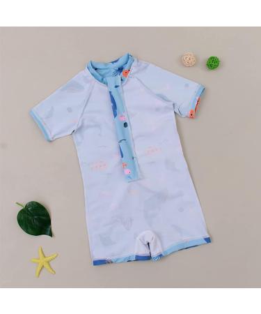 PythJooh Baby Boy Shark Print Rash Guard Swimsuit | Zipper One Piece Beach Swimwear | 12-18 Months - Buy Online on SooperMarket.com