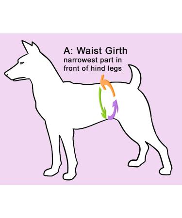 Glenndarcy Female Dog Diapers - Waterproof Fabric Small Size (Busy Bee) | Shop Best Pet Solutions Online - Buy Online on SooperMarket.com
