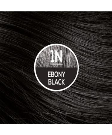 Naturtint Permanent Hair Color 1N Ebony Black (Pack of 6) - Ammonia-Free, Vegan, Cruelty-Free, 100% Gray Coverage, Long-Lasting Results - Buy Online on SooperMarket.com