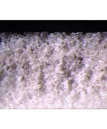SERA SIBORAX Aquarium Filter Material 1000 ml - Organic Biological Filter Medium for Aquariums (Pack of 2) | Maximum Filtration Efficiency - Buy Online on SooperMarket.com