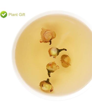 PlantGift Snow Plum Blossom Tea 60G/2.11oz Blossom Tea Flower Chinese Dried Plums Health Tea - Buy Online on SooperMarket.com
