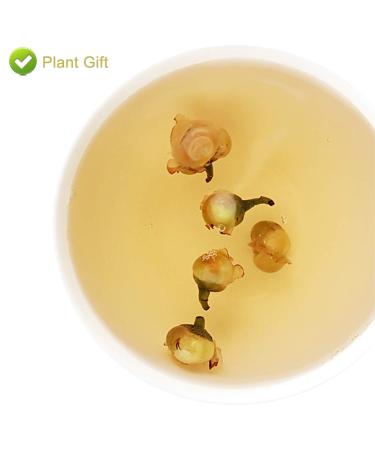 Buy Organic Snow Plum Blossom Tea | Anti-Aging Dried Flowers Tea - 60g - Buy Online on SooperMarket.com