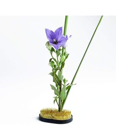 Wazakura Sun & Moon Ikebana Kenzan: Japanese Flower Holder - Made in Japan, Brass - 3-3/4x2-1/4 (93x59mm) - Buy Online on SooperMarket.com