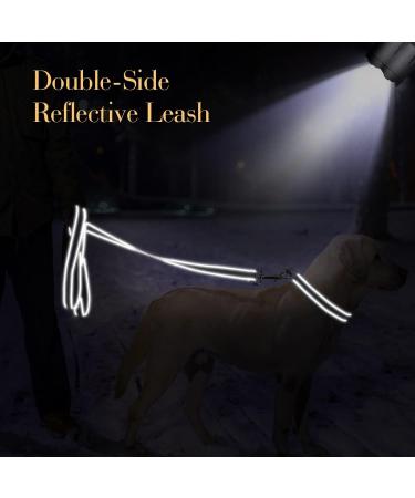 Personalized Reflective Dog Collar & Leash Set - Tagme XS Gray 1.5m Double-Sided Leash for Small Dogs - International Shipping Available - Buy Online on SooperMarket.com