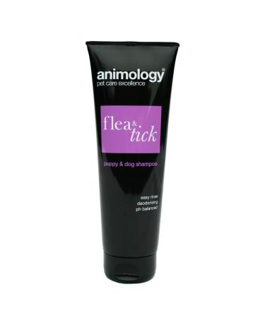 Animology Dog Flea & Tick Shampoo 250ml (Pack of 4)