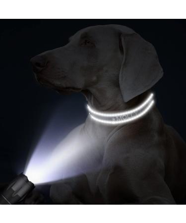 Tagme Personalized Dog Collar for Medium Dogs - Embroidered Reflective Nylon with Pet Name & Phone Number - Gray (1 Pack) - Buy Online on SooperMarket.com