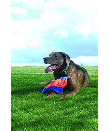 Chuckit! Flying Squirrel Dog Toy Medium - Interactive Floating Disc Frisbee for Tossing and Fetch - Buy Online on SooperMarket.com