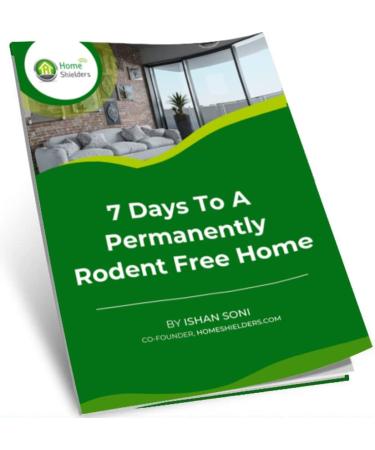 Ultrasonic Smart Rodent Repellent - Get Rid of Mouse, Rat, Spider & Pests in 7 Days - Indoor Pest Control Plug-In - 1 Count - Buy Online on SooperMarket.com