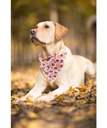Lionet Paws Dog Bandana - Triangular Headscarf for Small Medium & Large Dogs (L) - Autumn Style - Pack of 1 - Buy Online on SooperMarket.com
