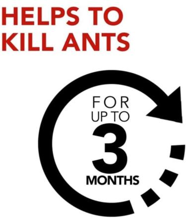 Raid Ant Killer Baits And Traps For Indoor Use Child Resistant 8 Count Baits Ant Killer - Buy Online on SooperMarket.com