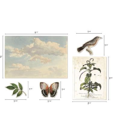 Tim Holtz Idea-Ology Bundle: Organic Layers TH94316 & Collage Layer Frames TH94318 - Spring 2023 Release - Buy Online on SooperMarket.com