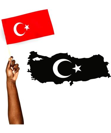 Leon Foil Turkey Card - Turkish Coat of Arms LED Night Light & Decoration | RGB Star & Crescent Moon | Perfect Gift for Birthdays & Parties - Buy Online on SooperMarket.com