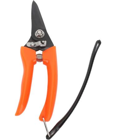 Buy High Carbon Stainless Steel Hoof Shears for Goats | Safe & Durable - International Shipping - Buy Online on SooperMarket.com