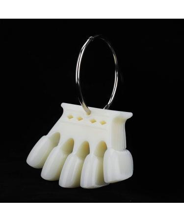 Plastic Nail Art Accessories - 2 Kinds Nail Color Card for Professional Nail Salon | Practice Skills in Natural Colors - Buy Online on SooperMarket.com