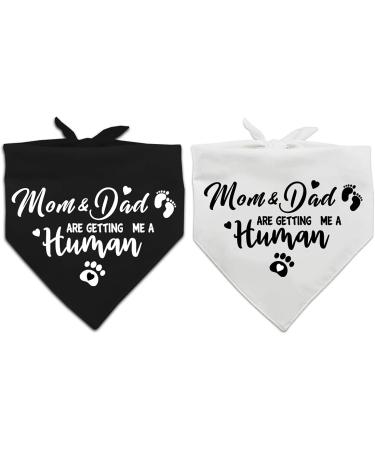 Gender Reveal Pet Scarf Set for Dog Lovers - Pack of 2 - Buy Online on SooperMarket.com