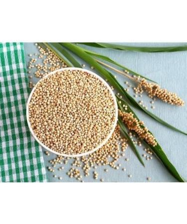 Seelans Fudco Whole Juwar | 500G | Sorghum Whole | Whole Sorghum Millet | Whole Grains | High Protein | Cholam | Millet Grains | Indian Origin | Each 500g | Pack Of 2 - Buy Online on SooperMarket.com