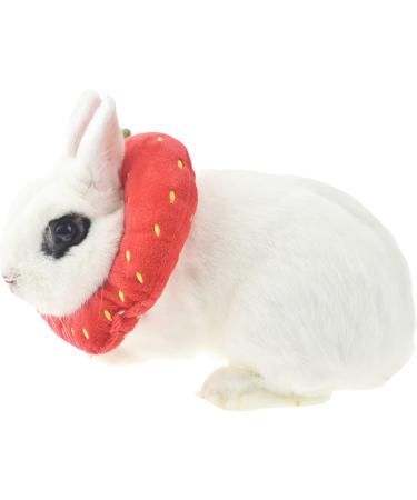 Buy Fladorepet Rabbit Protection Cone Elizabethan Neck Collars & Hasentoast Avocado Costume for Small Pets - Perfect for Recovery & Fun! - Buy Online on SooperMarket.com