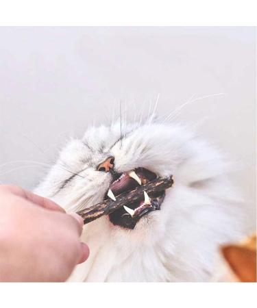 nuoshen 30 Pcs Chew Sticks for Cats Catnip Sticks Cat Sticks Cat Chew Toy Cat Teething Toys Natural Wood Sticks for Cats Play and Relax - Buy Online on SooperMarket.com