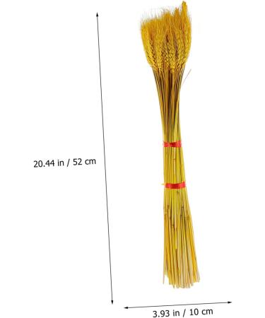 Abaodam 200 Pcs Dried Wheat Ears Bouquet Decked Dried Flower Bouquet Wheat Sheave Bundle Wheat Sheave Flower Wedding Decoration Wheat Stalk Ears of Wheat Gift Dried Flowers. Yellowx2pcs 52X10CMx2pcs - Buy Online on SooperMarket.com