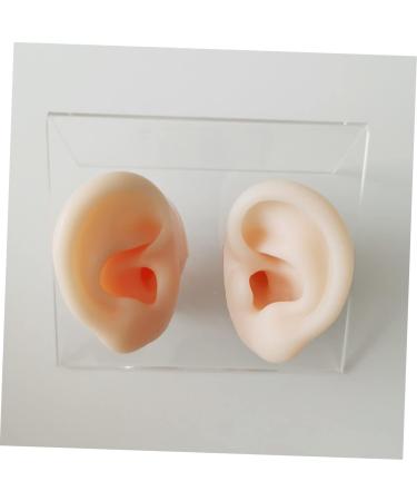 Silicone Ear Models for Ear Picking and Display - 1 Pair - Buy Online on SooperMarket.com