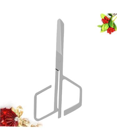 Hemoton Nose Hair Trimmer | Stainless Steel Facial Hair Clippers for Effortless Trimming | International Shipping Available - Buy Online on SooperMarket.com