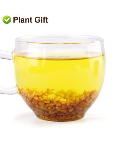 Buy Black Buckwheat Tea - Caffeine-Free Herbal Loose Leaf 240g | Tarty Chinese Tea - International Shipping - Buy Online on SooperMarket.com