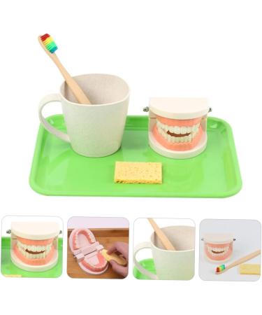 Buy Beavorty Learning Toothbrush Toys for Early Teething | Pedagogical Tooth Cleaning Model for Preschool - Buy Online on SooperMarket.com