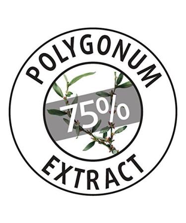 Moraz Polygonum Teenage Facial Cream - Oil-Free Moisturizer for Oily Skin | Lightweight Mattifying Face Cream 1.7 oz - Shop Now Globally - Buy Online on SooperMarket.com