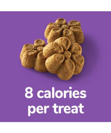 Fruitables Baked Dog Treats - Healthy Pumpkin & Blueberry Snacks | Low-Calorie, Wheat, Corn & Soy Free | 7 Oz - Buy Online on SooperMarket.com
