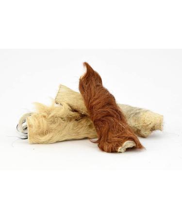 Cattle head with fur 1000g The Premium Kausnack for Dogs from Pridedogs |20 cm/piece |100% beef from German productionOdor -neutral bag ... 20 cm (with fur) 1kg