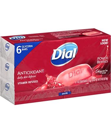 Dial Skin Care Bar Soap  Power Berries  4 Ounce  6 Bars