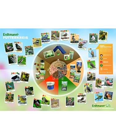 Erdtmanns 20 Fat Balls - 1.6 kg Polybag for Wild Birds | Premium Bird Feed - International Shipping - Buy Online on SooperMarket.com