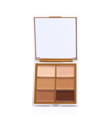 Buy Beauty Creations SNATCHURAL Bronze Palette & Dual Ended Contour Blending Brush Set - International Shipping Available - Buy Online on SooperMarket.com