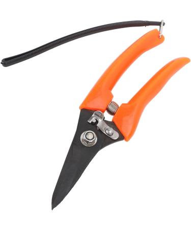 Buy High Carbon Stainless Steel Hoof Shears for Goats | Safe & Durable - International Shipping - Buy Online on SooperMarket.com
