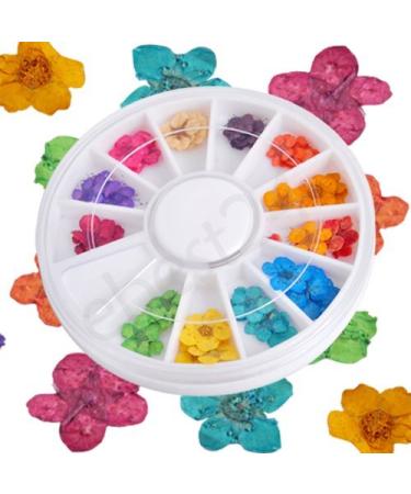 Nail Art Dried Artificial Flowers 12 Colors