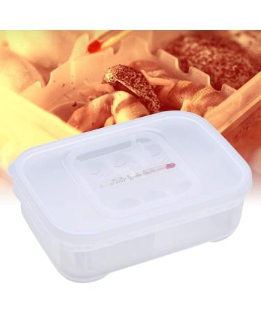 Cosiki Transparent Durable Professional Lizards Reptile Incubation Box Reptile Hatchery Box Reptile Tank Reptile Breeding Box for Hatching Gecko Lizard - Buy Online on SooperMarket.com