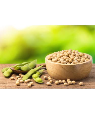 Tasty Pott Boo Soybean - High-Protein Soy Beans for Vegan Stews & Salads | 1000g Bag - Buy Online on SooperMarket.com