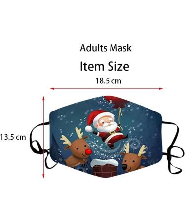 1 Pieces Adults Protect_Cover_Mask Washable Reusable Christmas Print With Filter Pocket Adjustable Earloops (Q) - Buy Online on SooperMarket.com