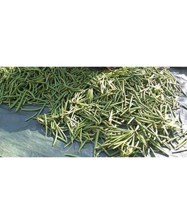 25 Madagascar Vanilla Beans Grade B by FITNCLEAN VANILLA| Bulk Bourbon Whole Natural Raw NON-GMO PODS. 25 Count (Pack of 1) - Buy Online on SooperMarket.com