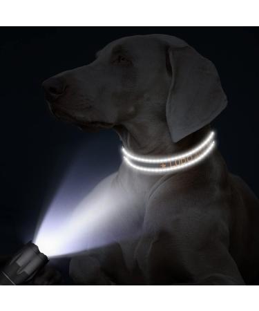 Buy Tagme Personalized Dog Collar for Small Dogs | Embroidered Reflective Nylon with Pet Name & Phone Number - Black XS (1 Pack) - Buy Online on SooperMarket.com