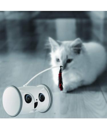 SKYMEE Owl Robot Pet Camera & Treat Dispenser for Dogs & Cats | Remote App Control | Interactive Toy | 2.4G WiFi | Ideal for Women - Buy Online on SooperMarket.com