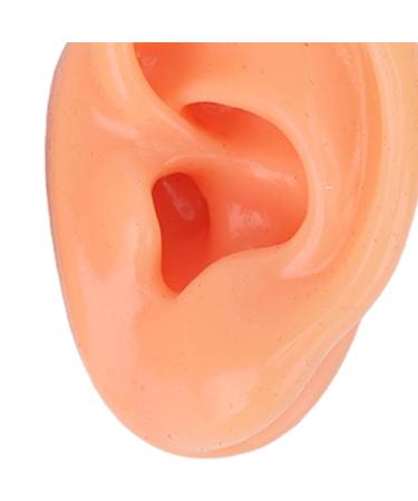 Soft Artificial Ear Display Model for Hospitals - Anatomically Accurate Simulation - Buy Online on SooperMarket.com