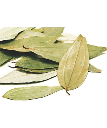 35g - Pure Organic Indian Bay Leaves with Proper 3 Veins Tejpat Tejpatta Cinnamonum Tamala